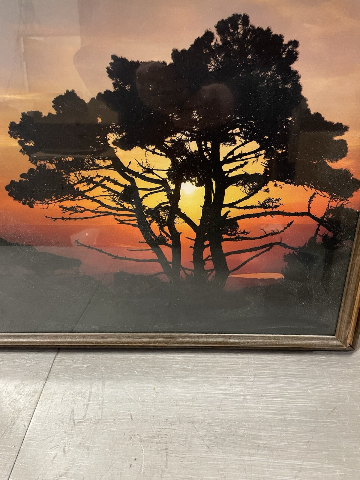 Nature Photography Print -Vintage Picture of Tree in Sunset 19” H x 22” L