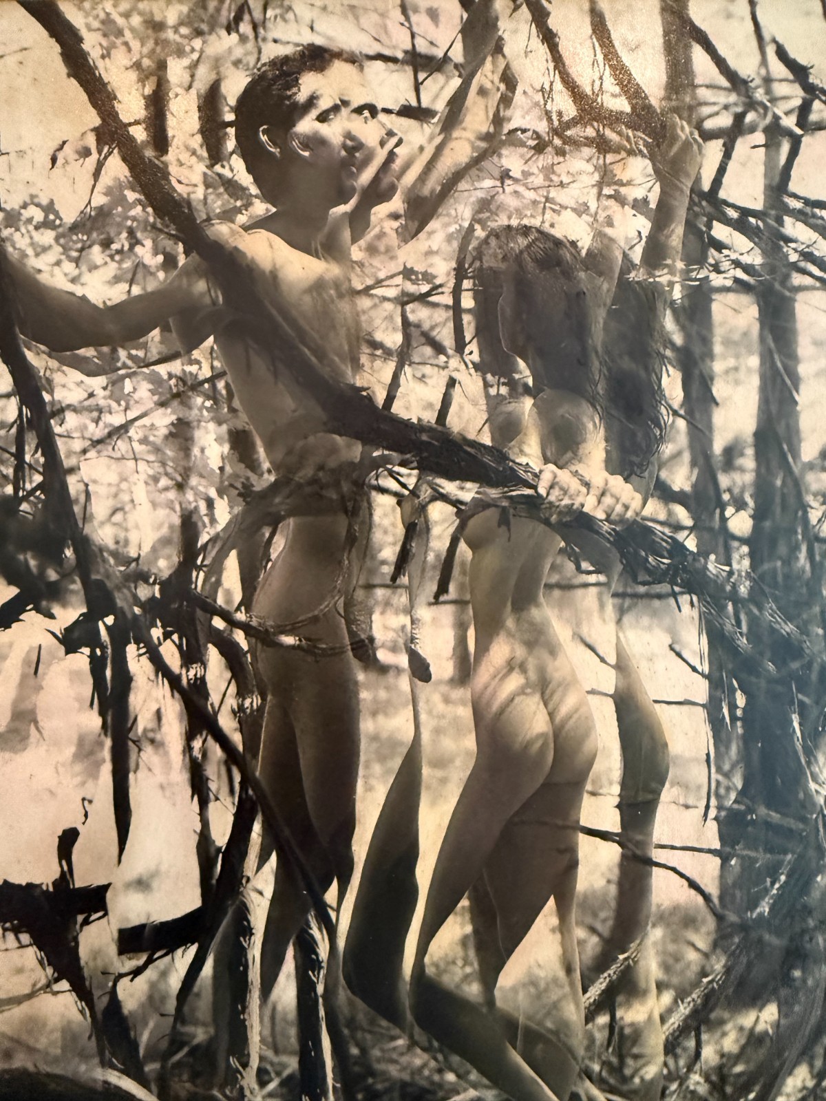Harriet Tannin Signed Fine Art sepia Couple Woods Vertical Strip Abstract sepia