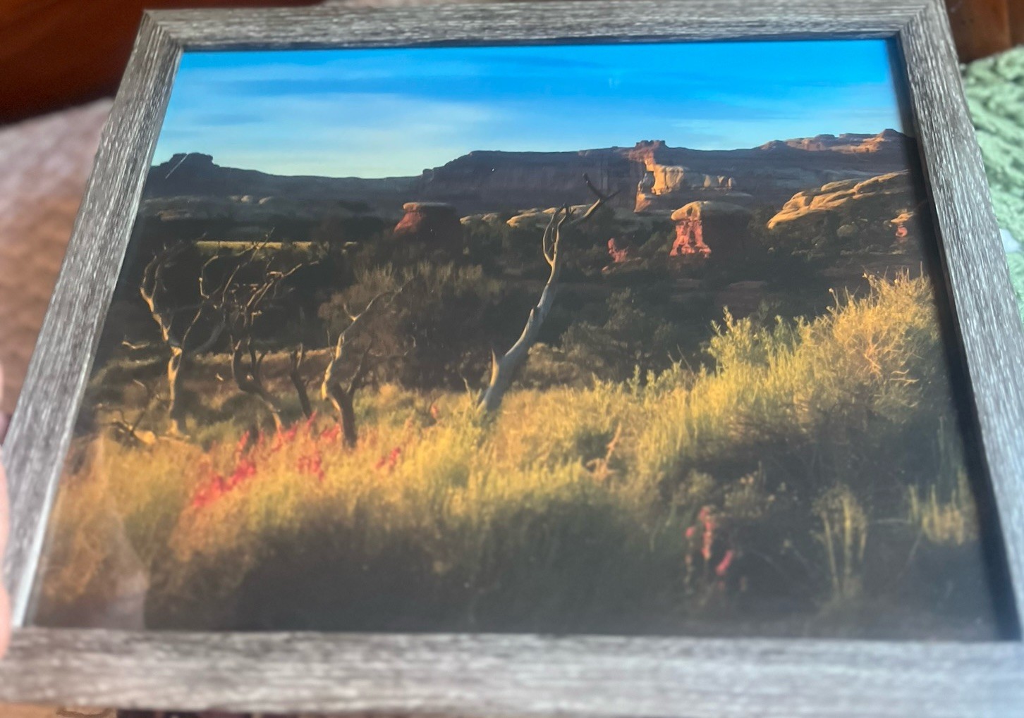 Photograph Of Desert In The Springtime Framed 15 1/2 X 12 1/2