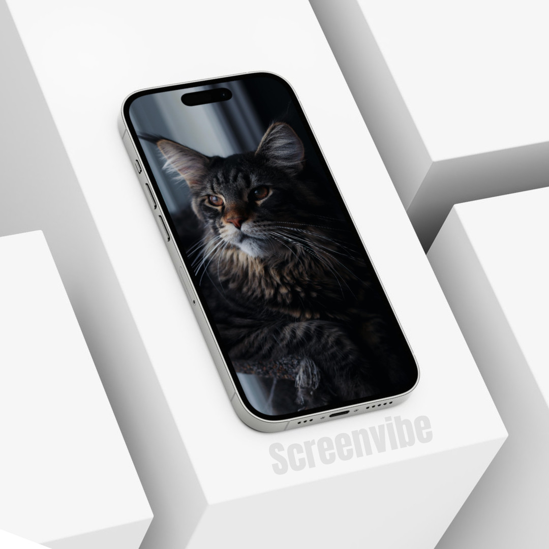 Cute Cat Animal Wallpaper Background Digital Picture, Adorable Pet Friend
