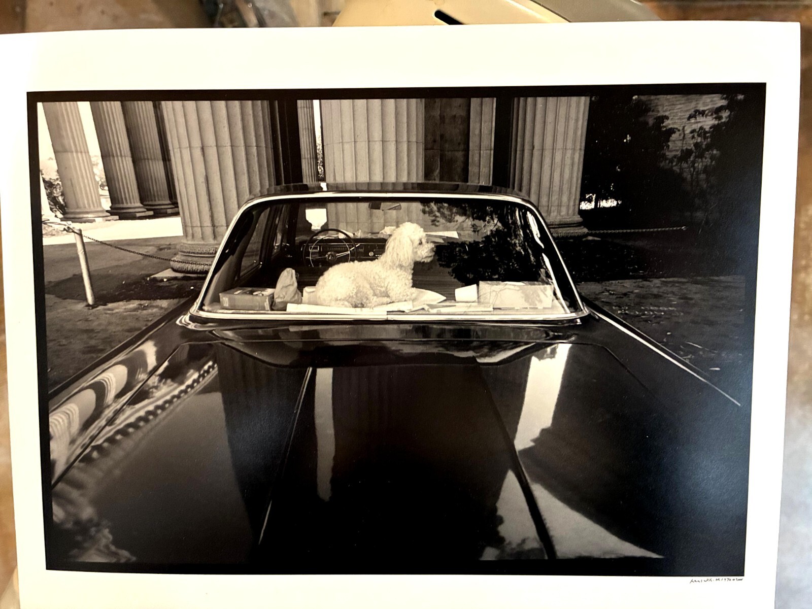 Neal White Signed Photograph “No Dogs Allowed” – 1976/2006 Epson Print