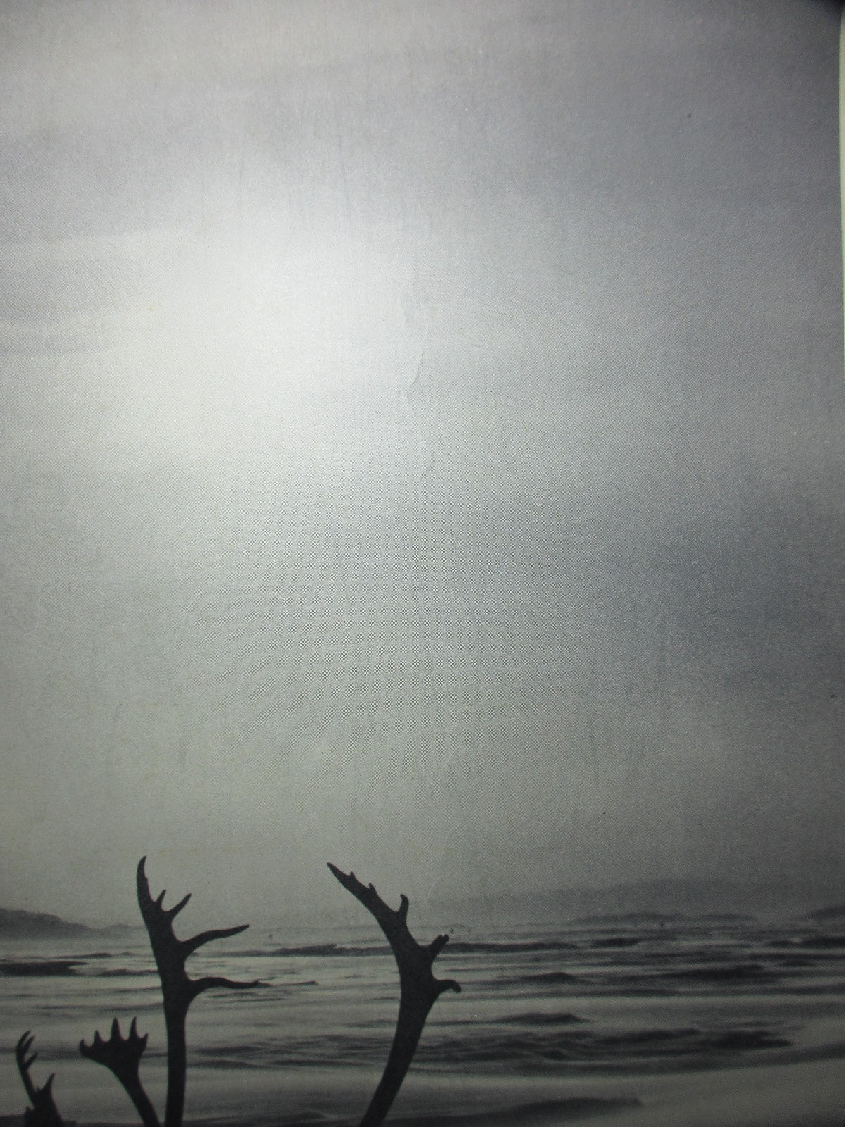 Gerhard Reimann FROZEN NORTH Photograph Canada’s Northwest Territory 20×16
