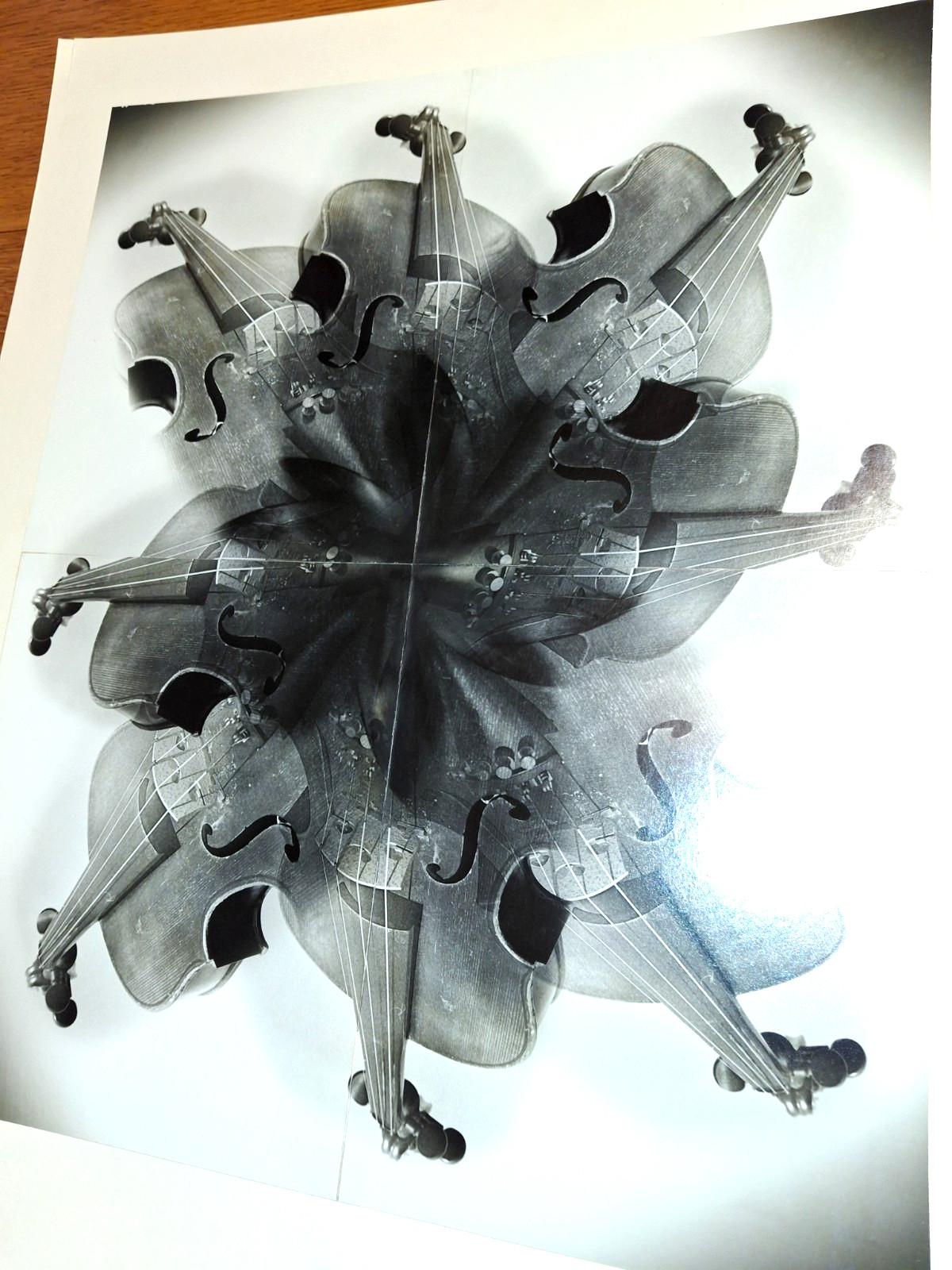 Vintage 1979 Fine Art Photo, Silver Gelatin Print 20×16″, Signed, COA, Violin