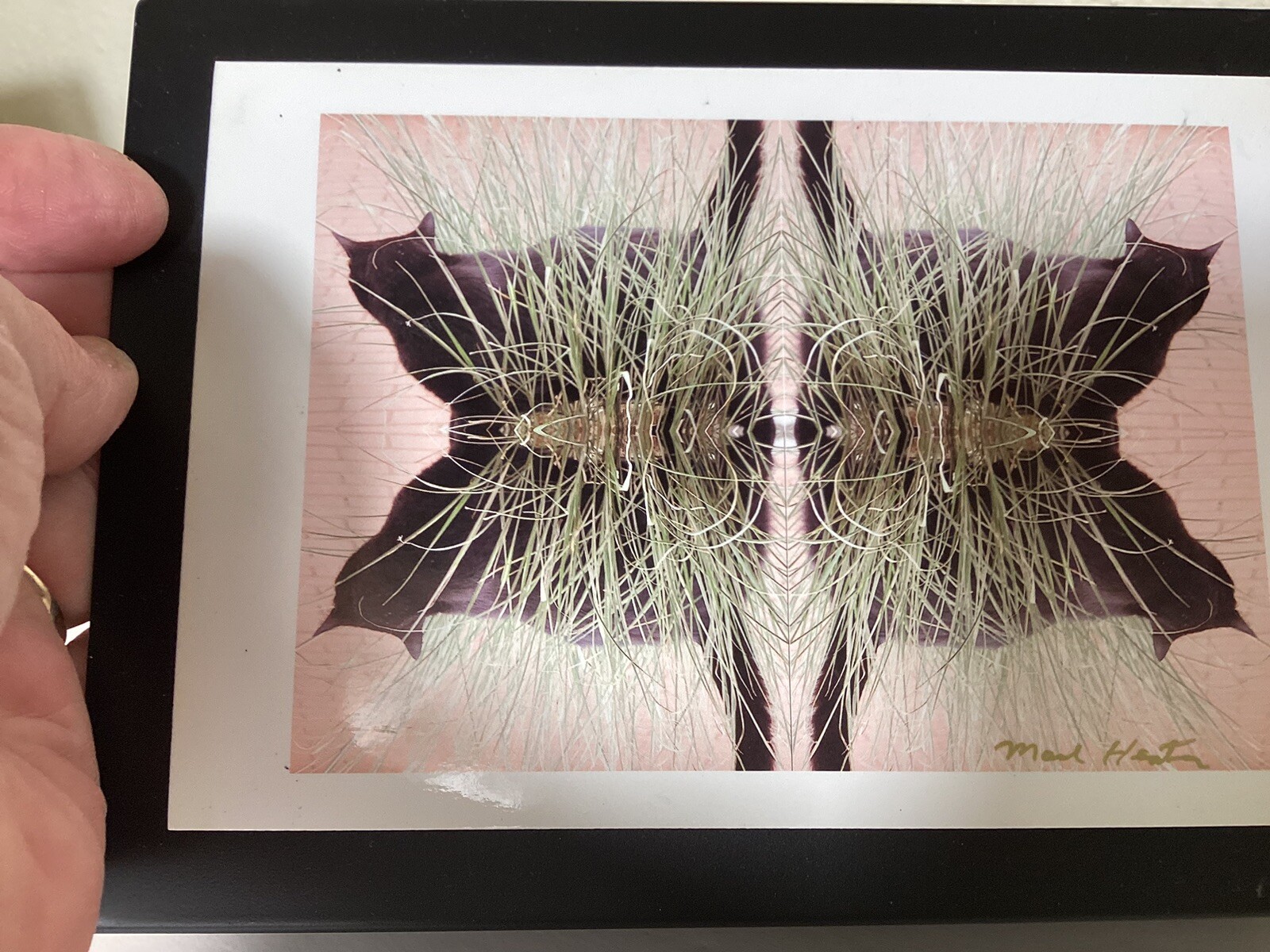 Cat Photography refleted Cats In Grass On Metal Easel Stand 5” X 7”