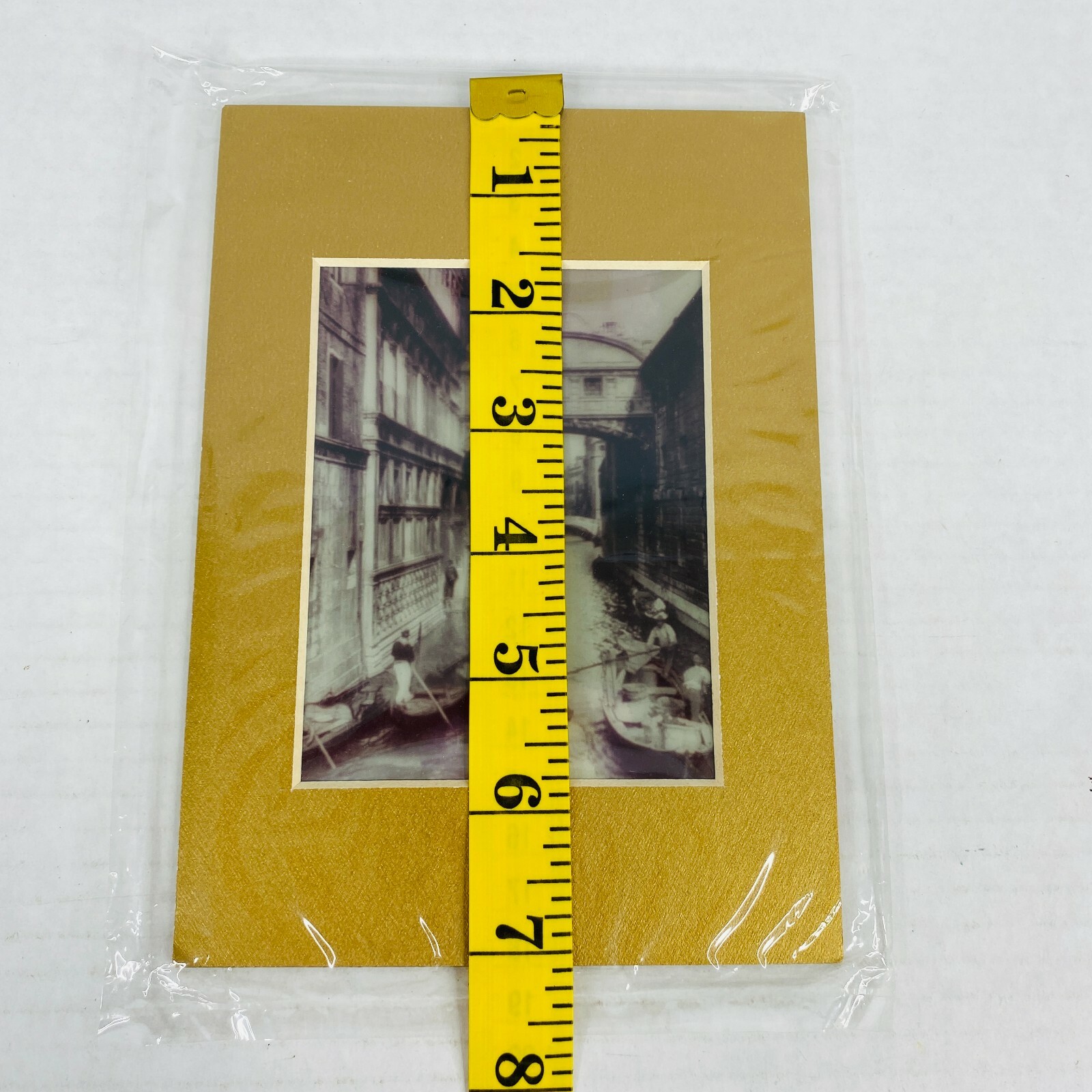 Bridge Of Sighs Venice Italy Stereoview 3-d Photo Reprint Stereographic Arts