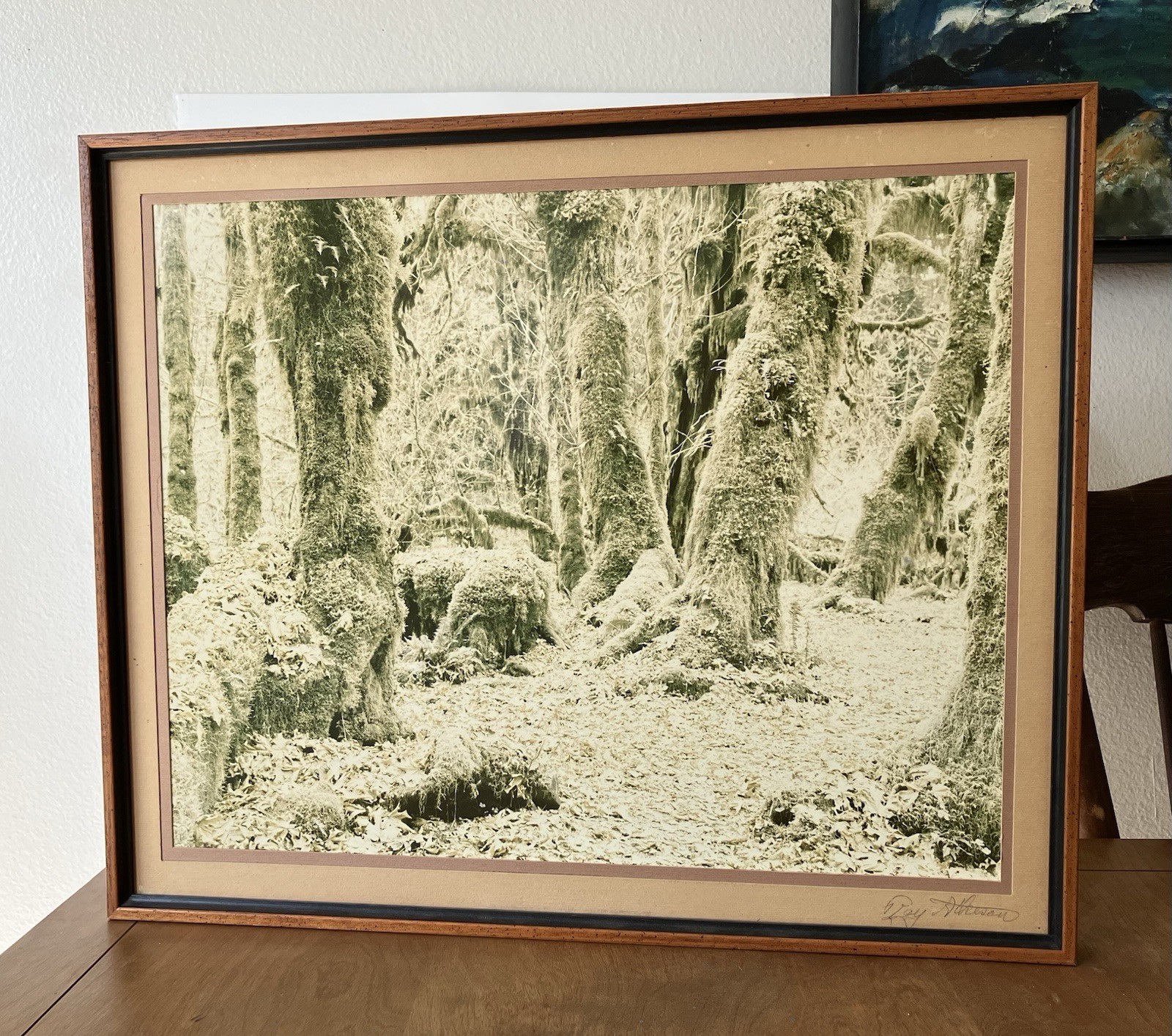 Ray Atkeson Original Photo Large Frames Signed Old Forest Landscape Oregon