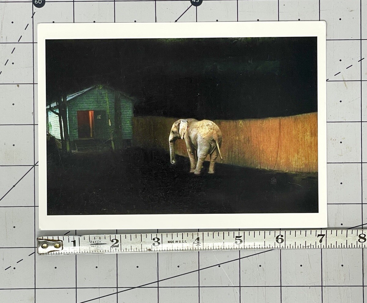Allison Hunter (b. 1967) Art Show Announcement Card 2007