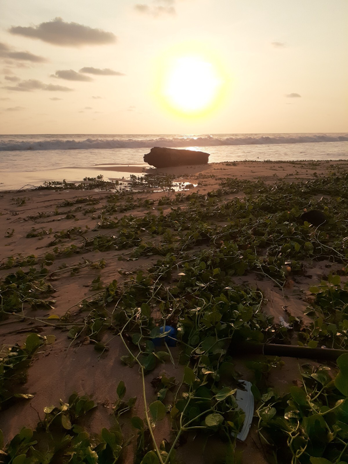 Sri Lanka Sunset Nature Beach Pic Photograph Photo Beautiful Image For a print