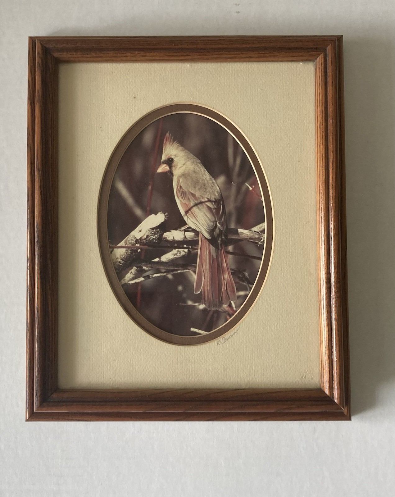 Rick Denomme Bird Photography Set of 4 Framed Cardinal Chickadee Titmouse Signed