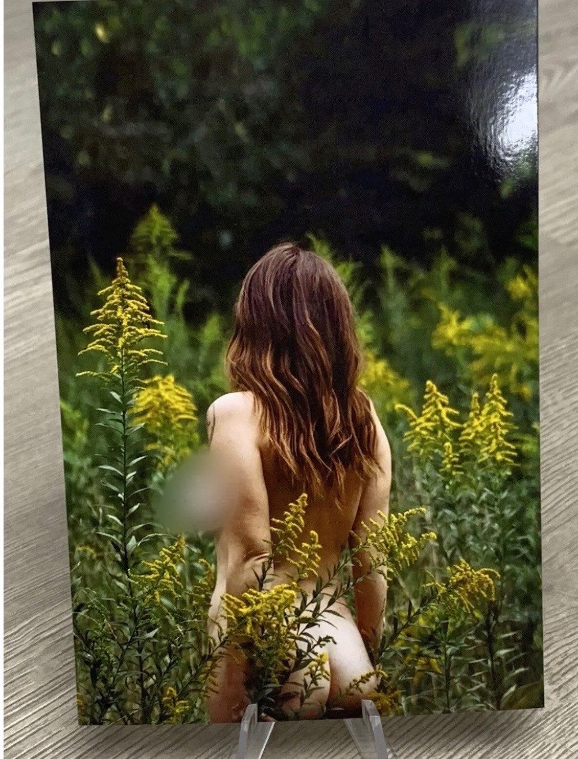 Pinup Girl 4×6 Glossy Photograph Beautiful Woman Nude Model Female Form Fine Art