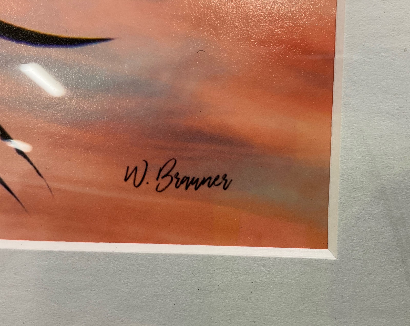 Framed Bald Eagle Mid Flight Photo Print