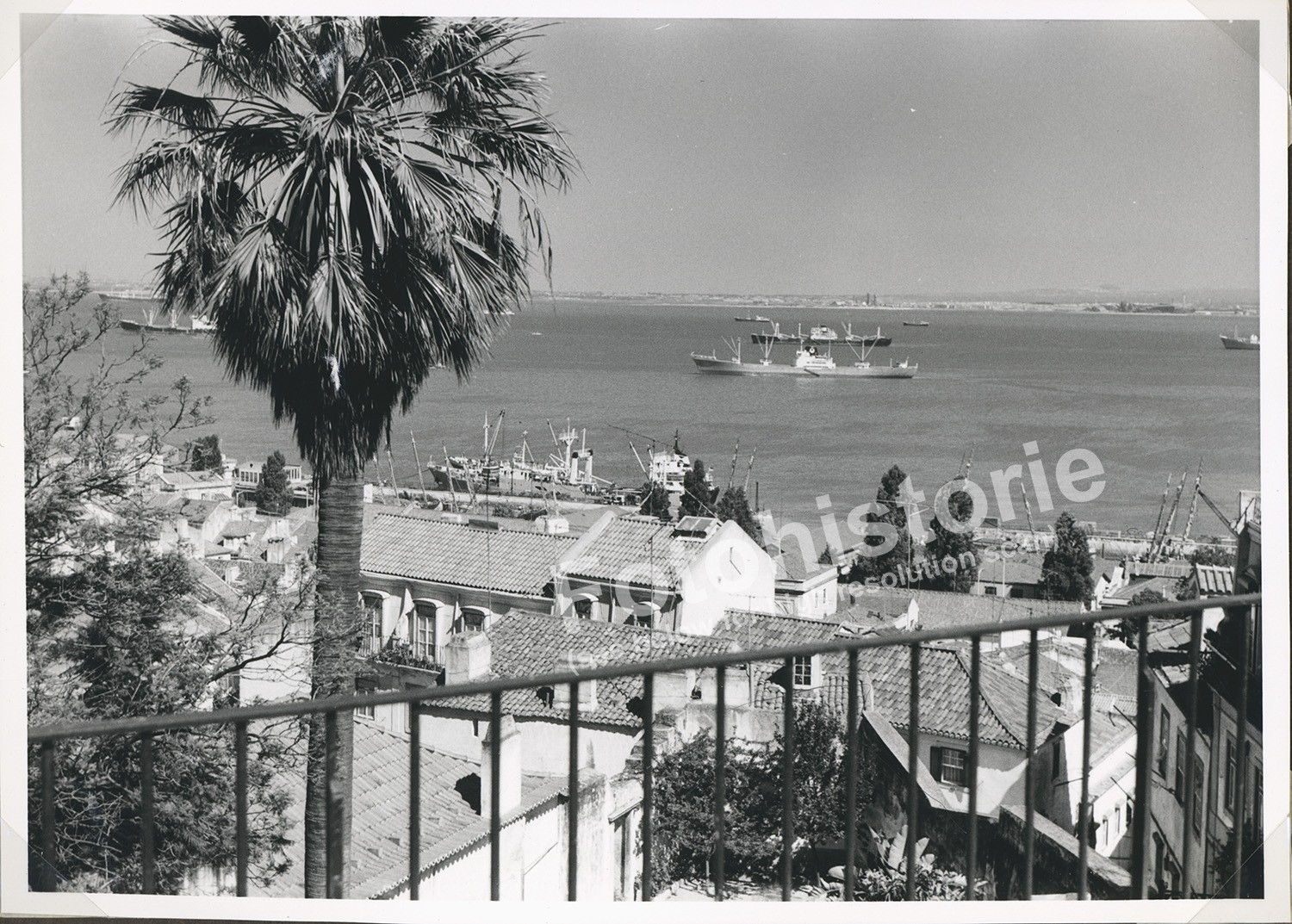 Photo Lisbon Port Ships Portugal 1960s Tagus Panorama