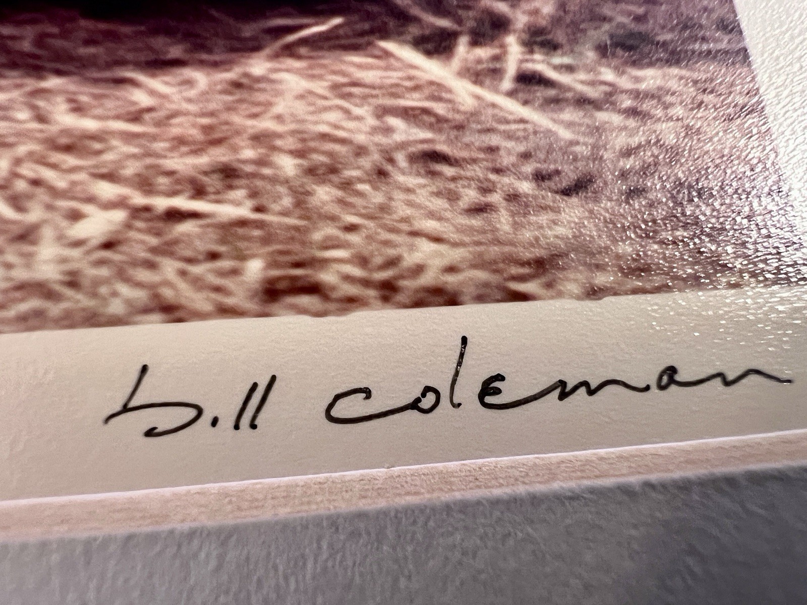 BILL COLEMAN Photograph AMISH Little Women SIGNED Matted PHOTO Pennsylvania