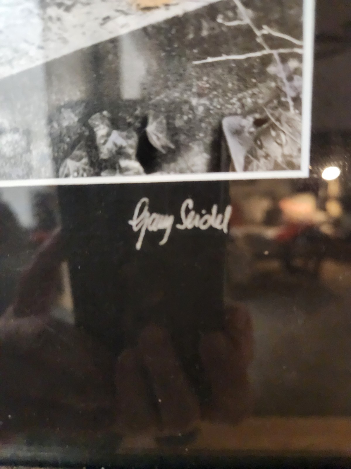 Original Hand-colored Photography By Garry Seidel, “Dark ANGEL” #17/195