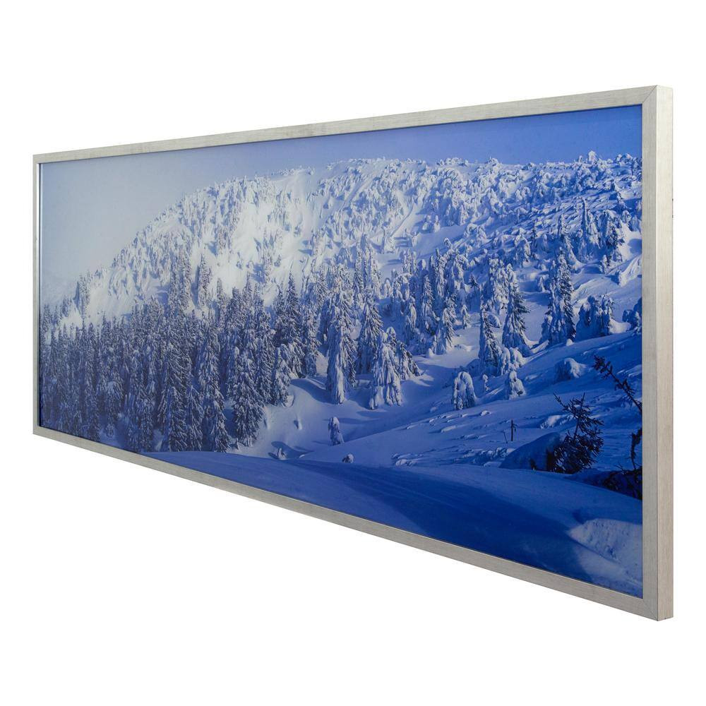 “Alpine Landscape” Silver Frame Photography Wall Art 23.6 In. X 63 In.