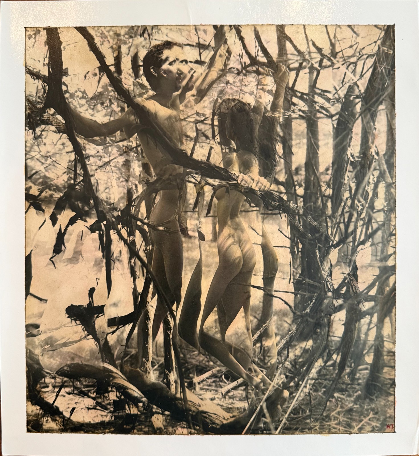 Harriet Tannin Signed Fine Art sepia Couple Woods Vertical Strip Abstract sepia