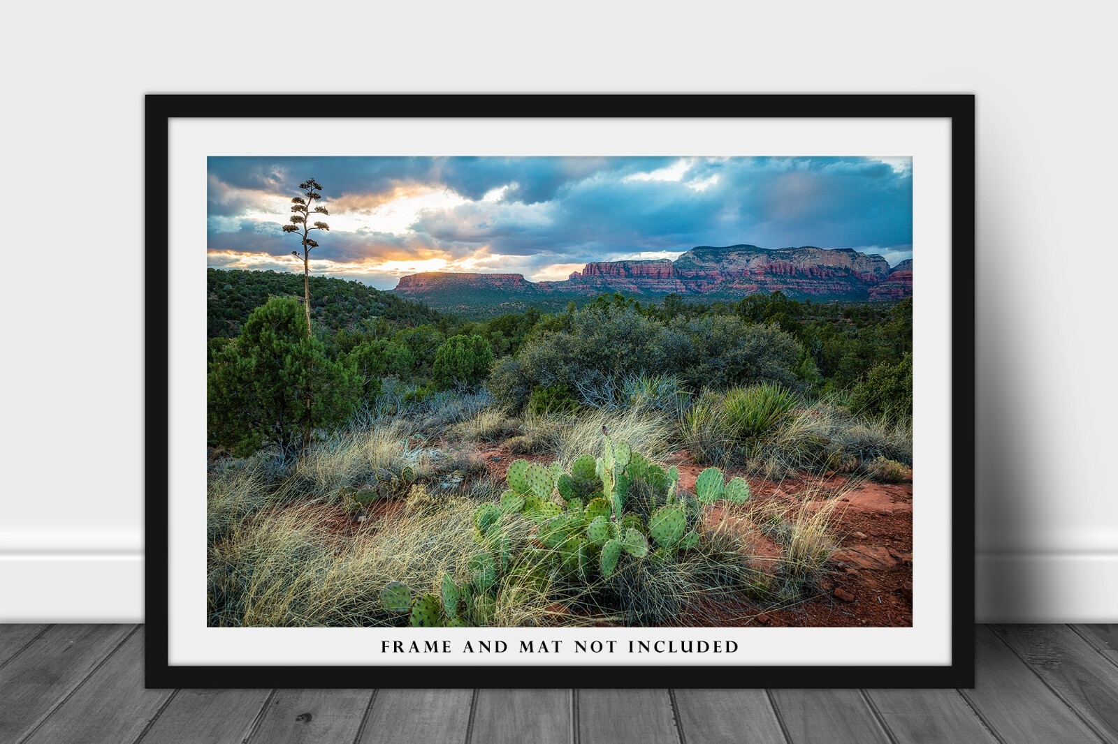 Sedona Photography Print: Arizona Desert Southwest Landscape Sunset Photo