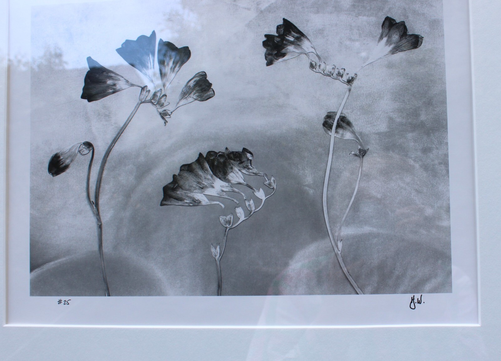 HUNTINGTON WITHERILL SIGNED 1991 Freesias Special Edition Collection #26 Framed