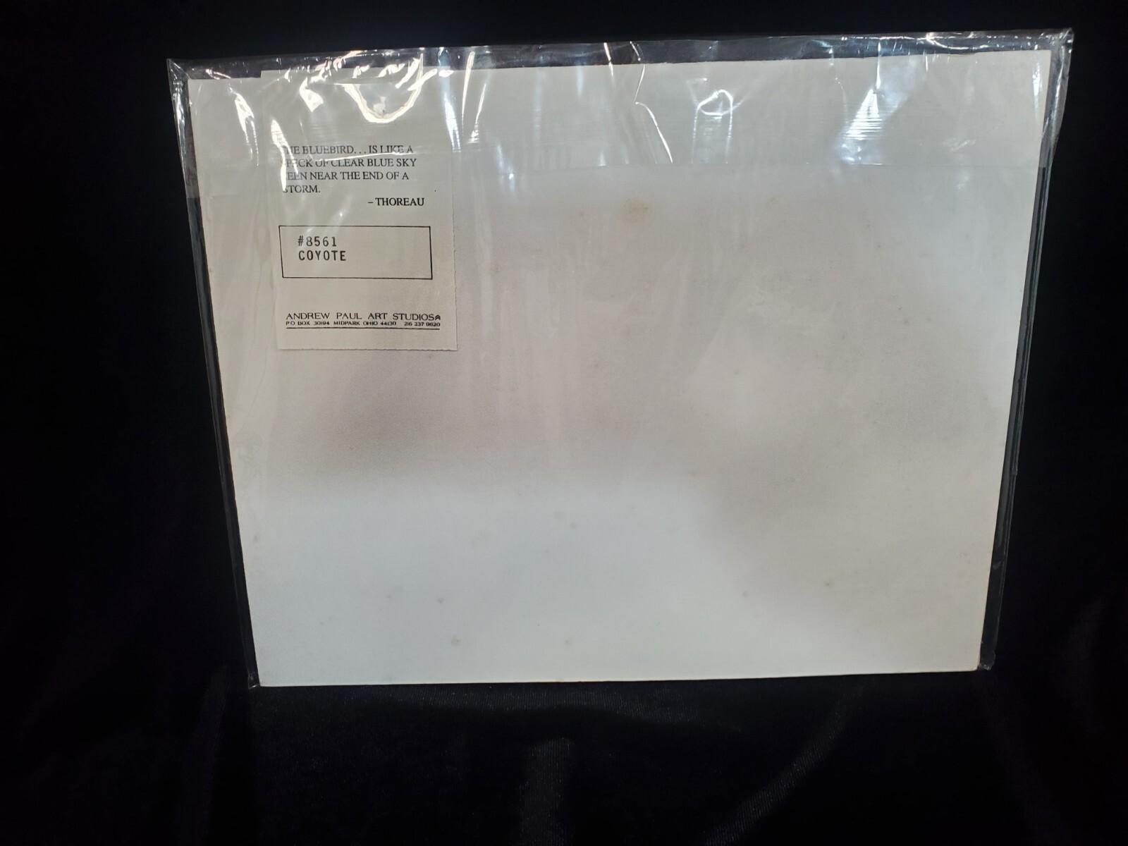 VTG. Coyote #8561, Matted photo Andrew Paul Art Studios The World of Animals NIP