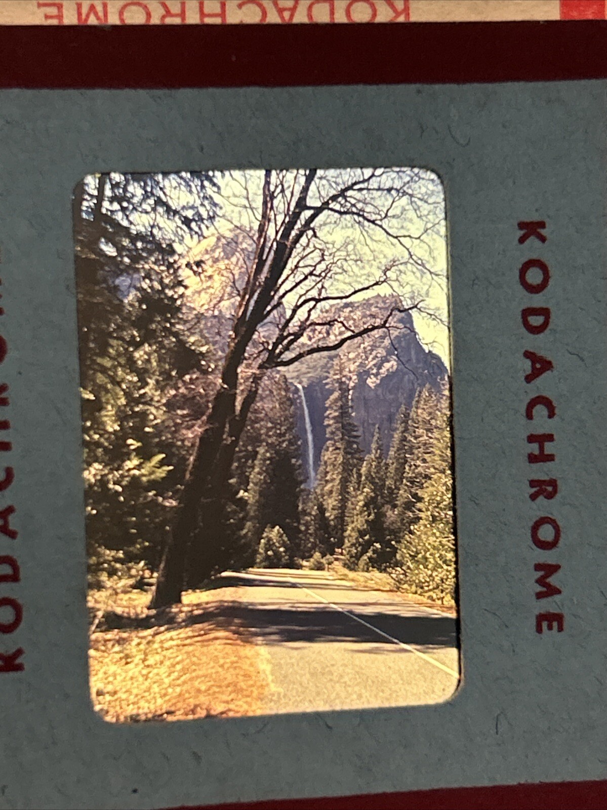 Kodachrome Red Border Lot Of 40 1950’s Yosemite Falls Trip 35mm Color Slides