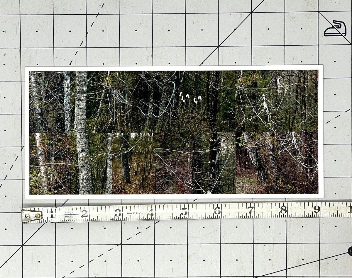 Susan Rankaitis (b. 1949) Art Announcement Card 2007 – Limbicwork