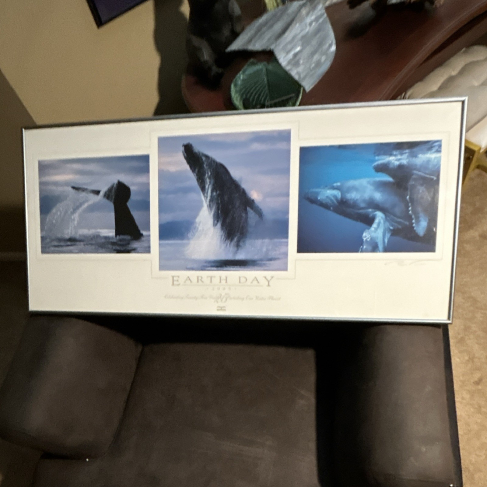 Bob Talbot Signed Limited Edition Framed Whale Photograph Earth Day 1995 17.5×39