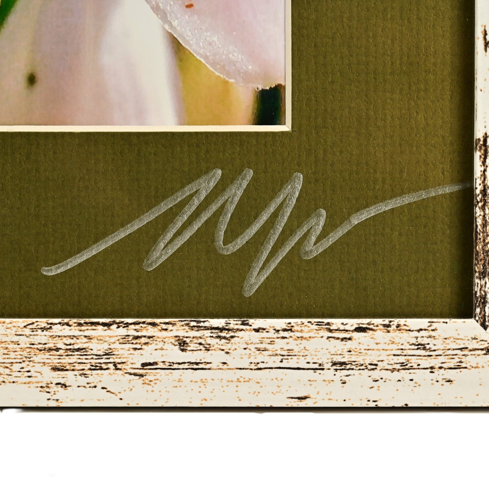 MICHAEL RAY Original Vintage Signed Long Island NY Floral Still Life Photograph