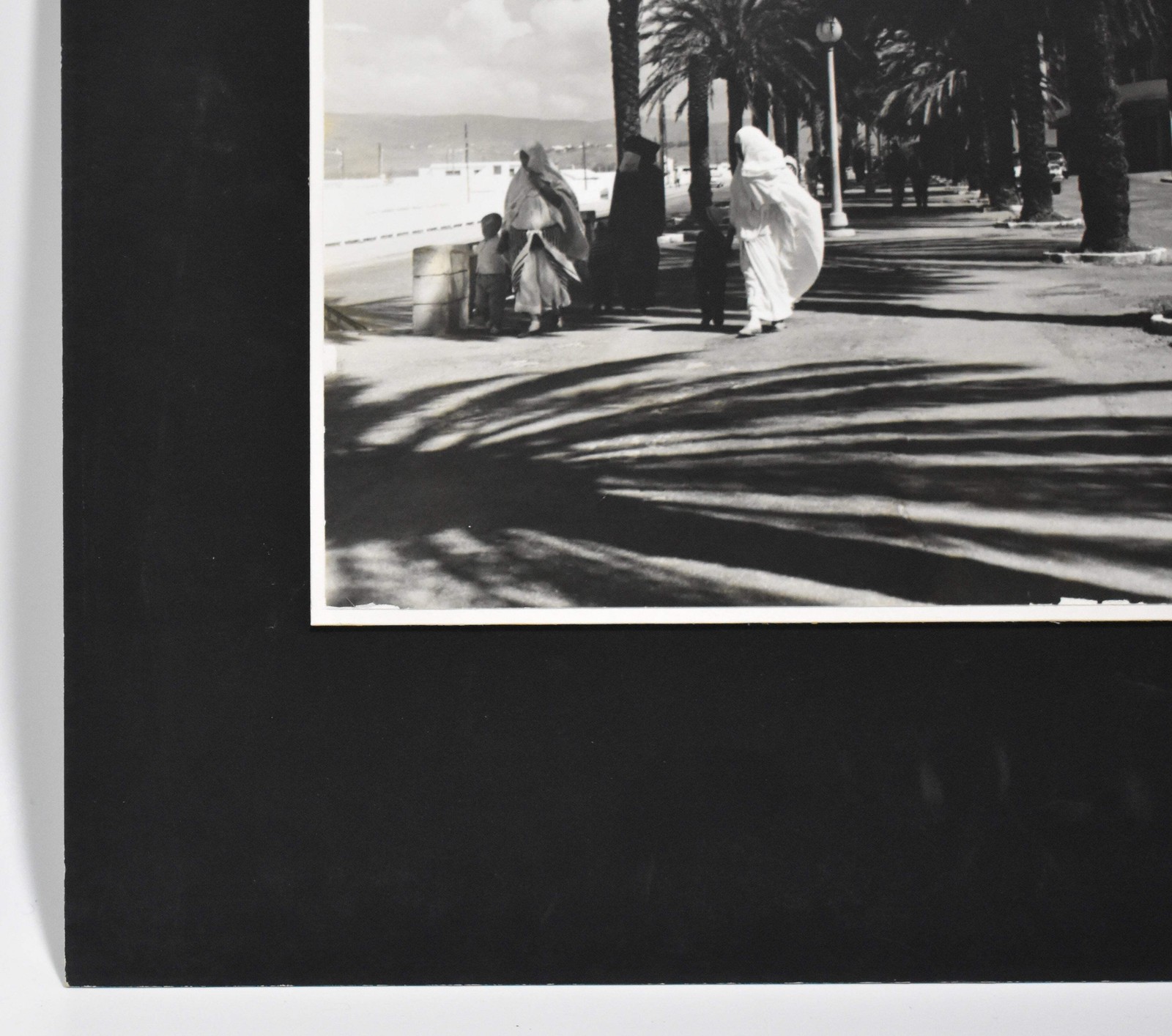 Vintage James W. Howlett Black and White Photograph, ‘Morrocan Palms’