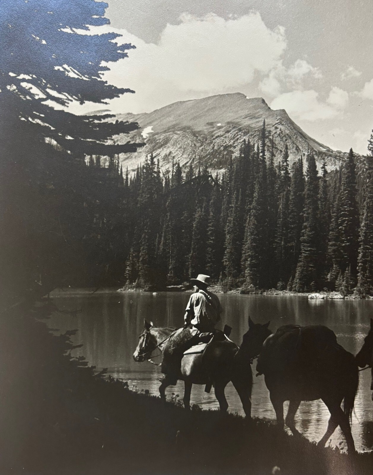 Original HARRY ROWED ‘Morning in the Valley’ Horseback in CANADA Mountains PHOTO