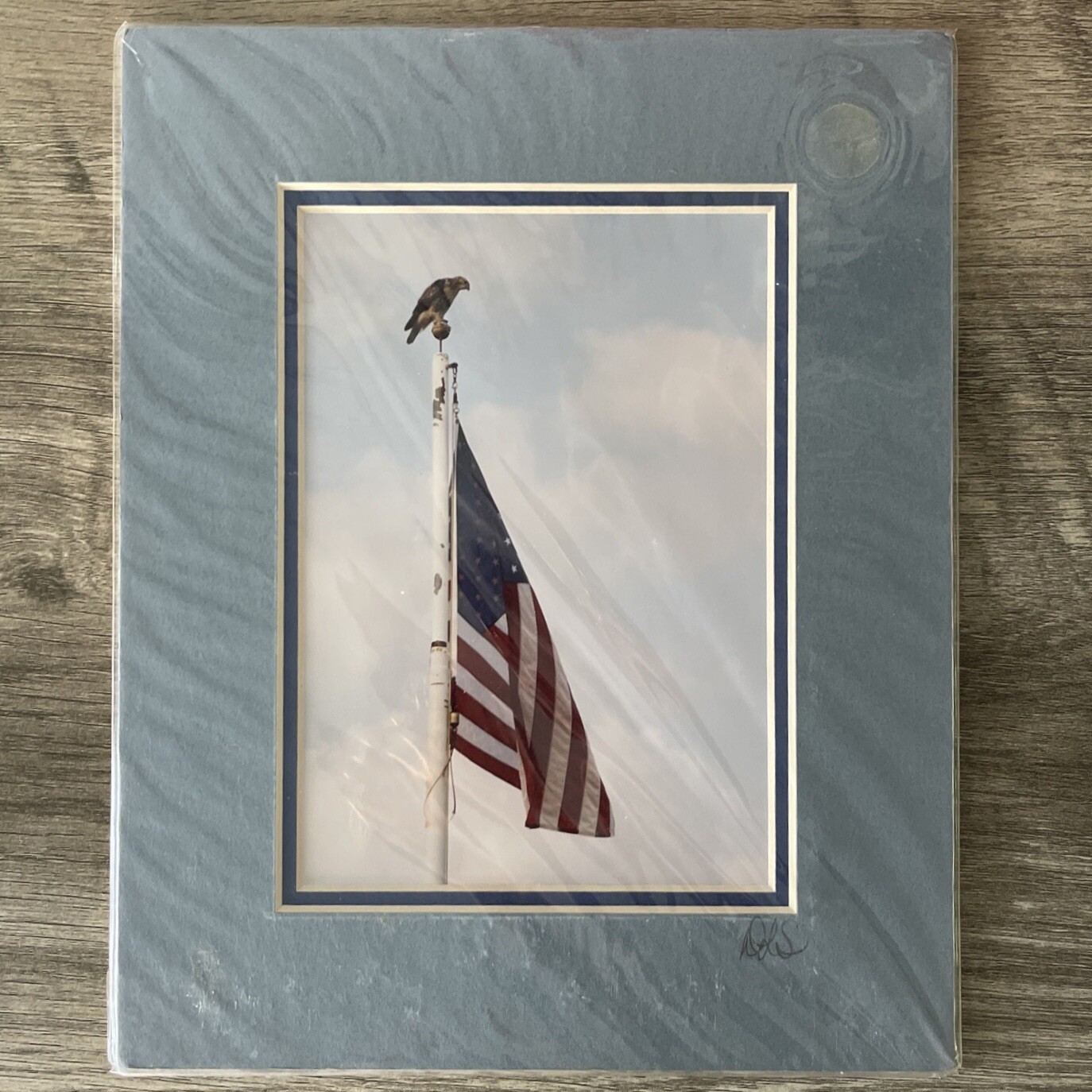 New Framed Photograph Print American Flag Eagle Americana 8×10 DLS Signed