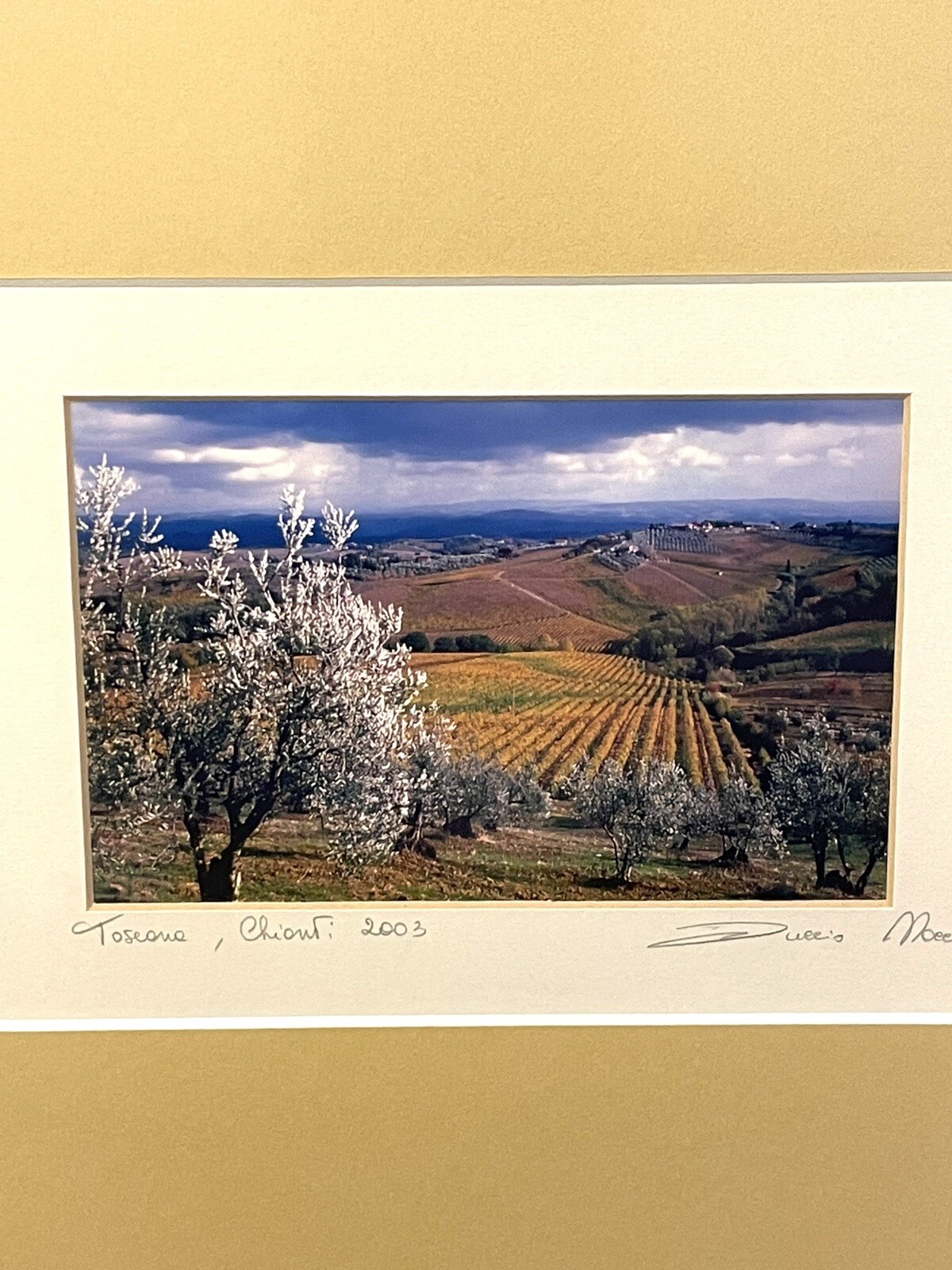 Vintage 2003 Tuscan Countryside Italy Signed Art Photograph Matted And Framed LN