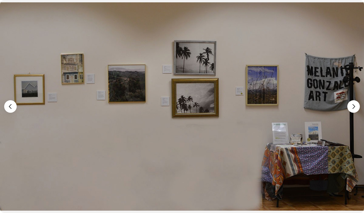 Tropicoco Palmas, Cuba, dyptych 16 x 20in Left/Right art photos, Mel Gonz, 2017