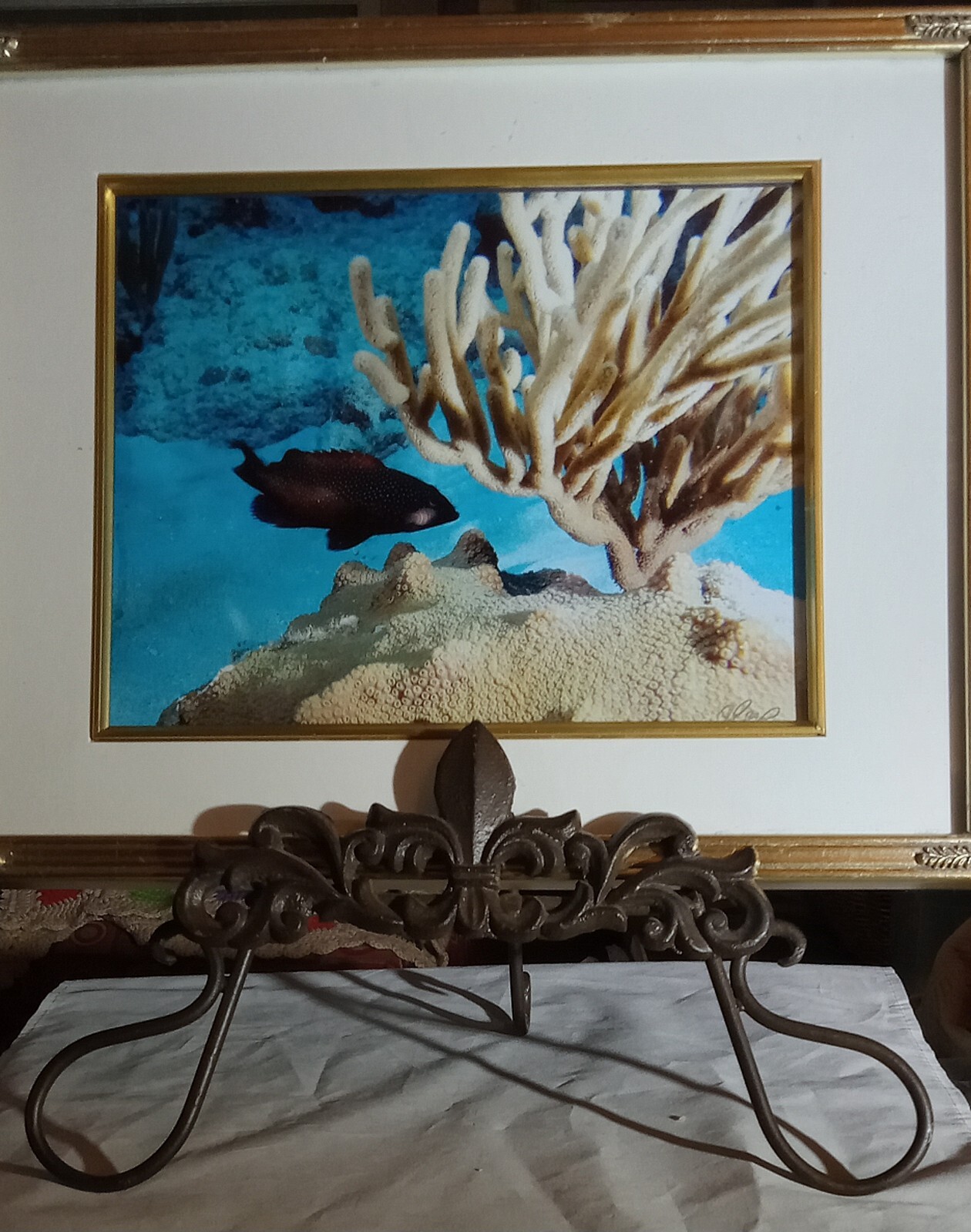Underwater Jewels By Alex Taylor 8×10 Framed Archival Paper & Ink Digital Photo