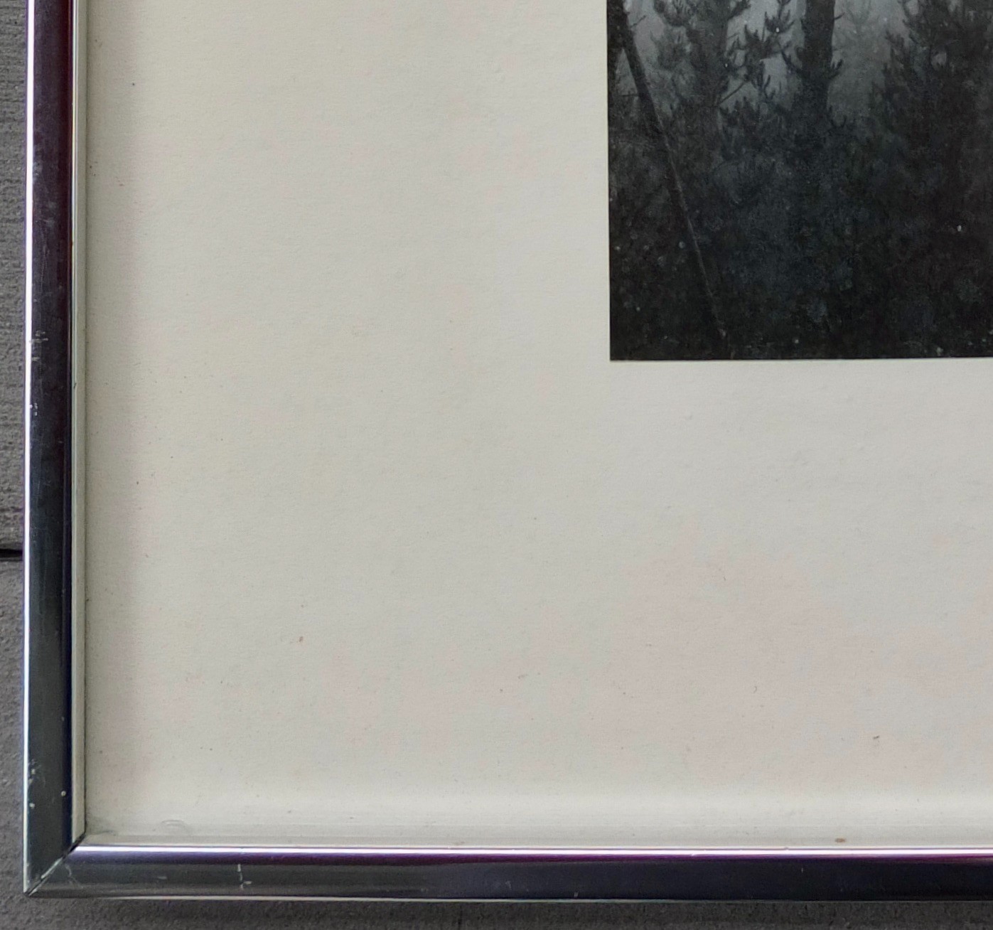 Robert (Bob) Werling 1976 Photograph Of Light In Forest Pencil Signed In Frame
