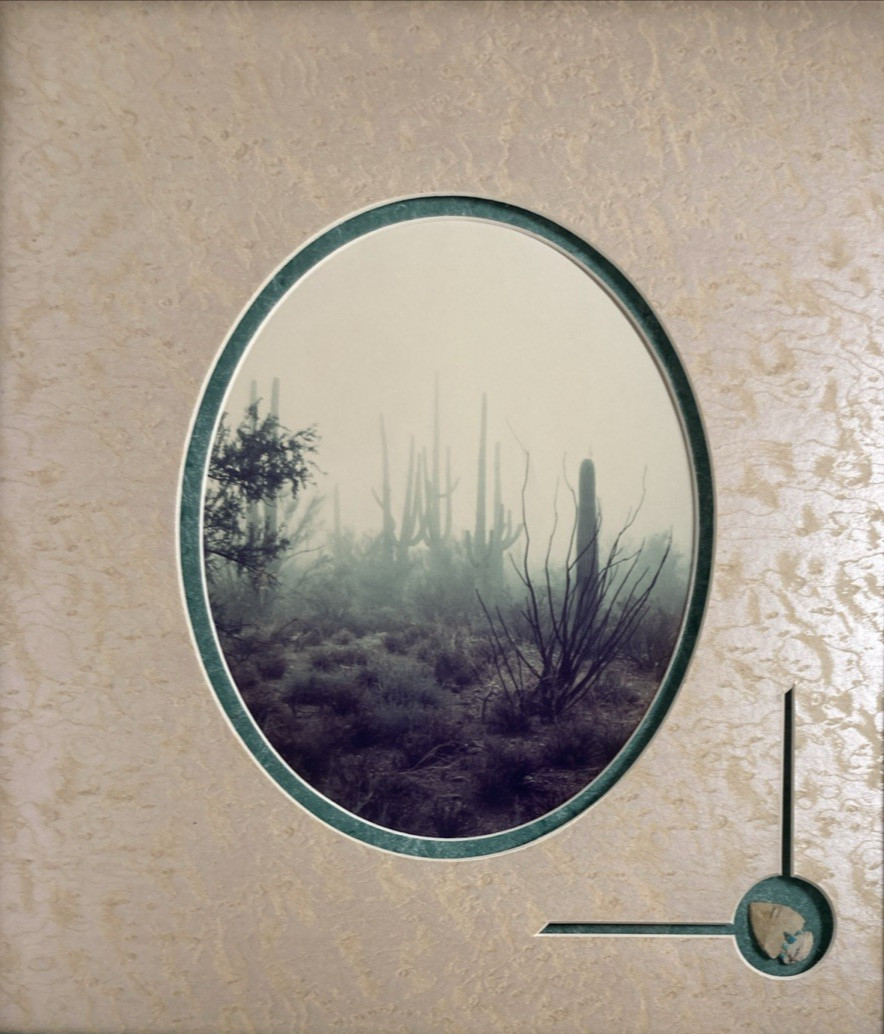 Vintage Original Photography Print Southwestern Saguaro Desert Misty Morning