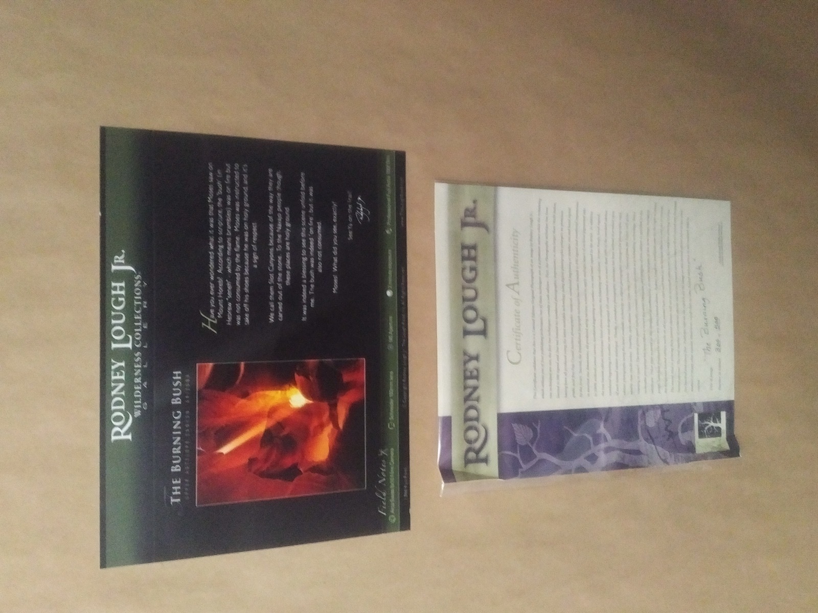 The Burning Bush – Rodney Lough Jr. – Limited Print Edition #300/500