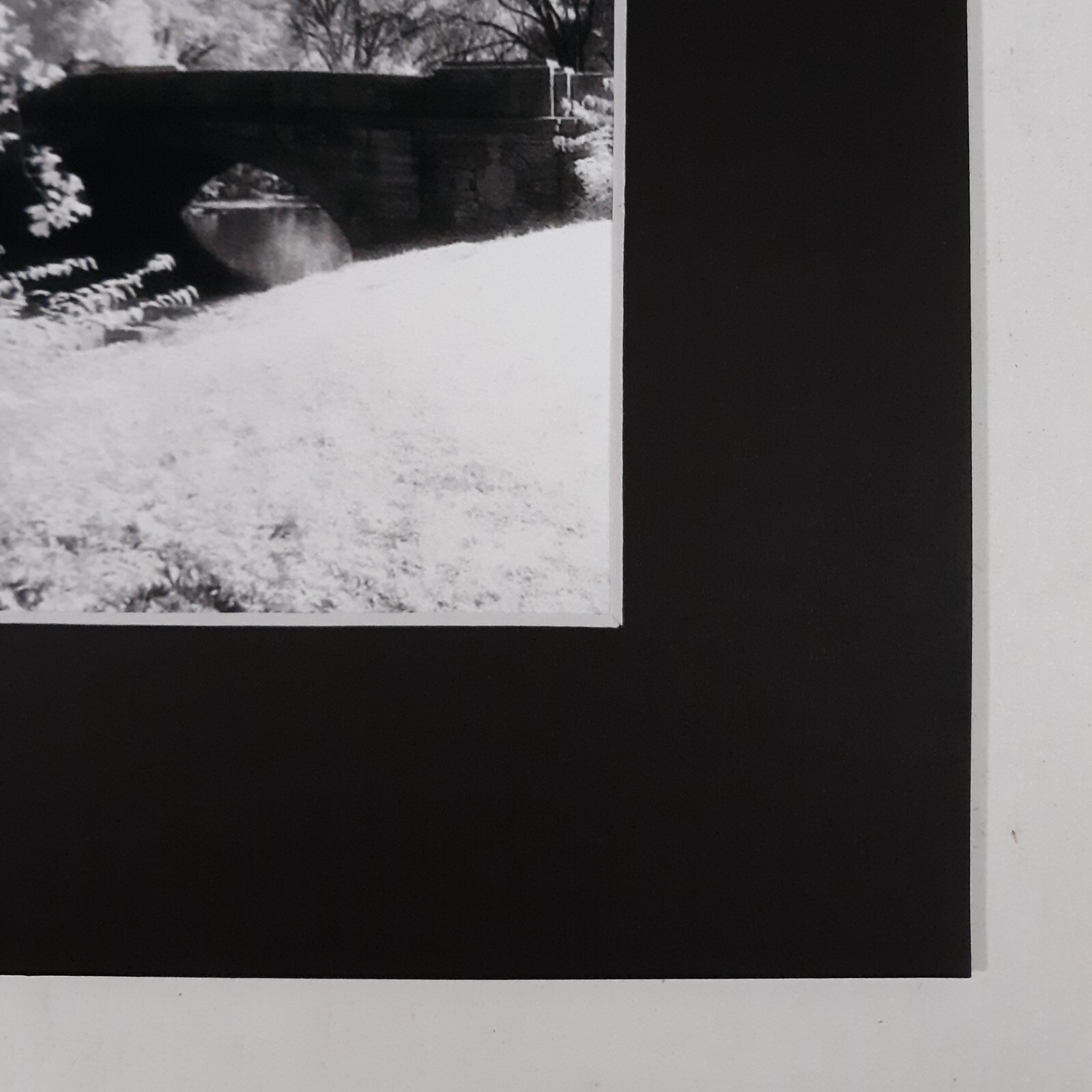 Black Mat Photo Landscape Park Infrared Photography Bridge Trees Art Print