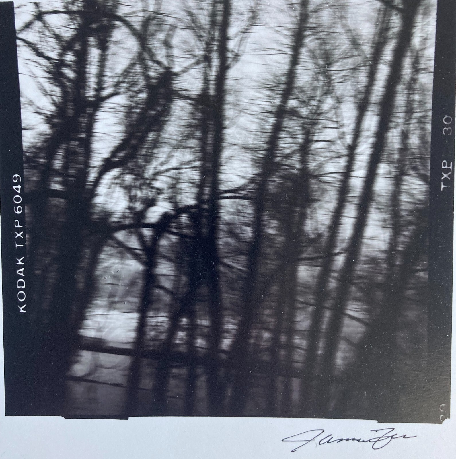 JAMES FEE Signed SEPIA-TONED GELATIN SILVER PRINT Blurred Landscape Los Angeles