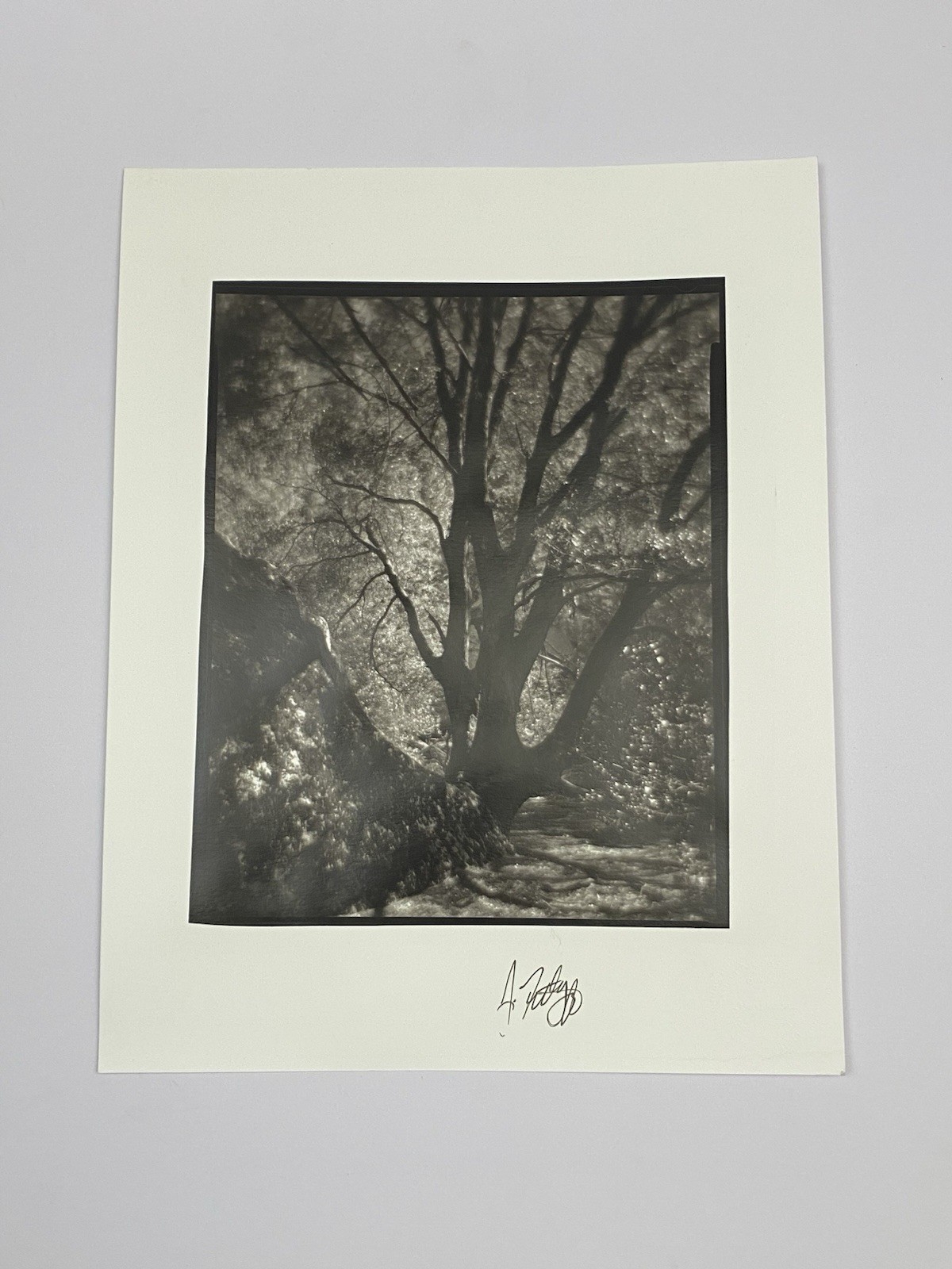 Jim Fitzgerald Untitled Photo Signed Photograph Carbon Transfer