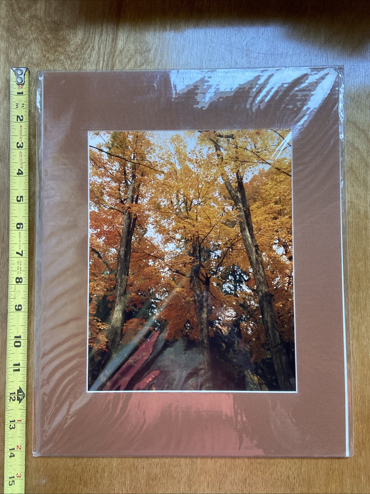 Beautiful Matted Linda Wyatt Fall Trees Scene Ithaca NY Photograph
