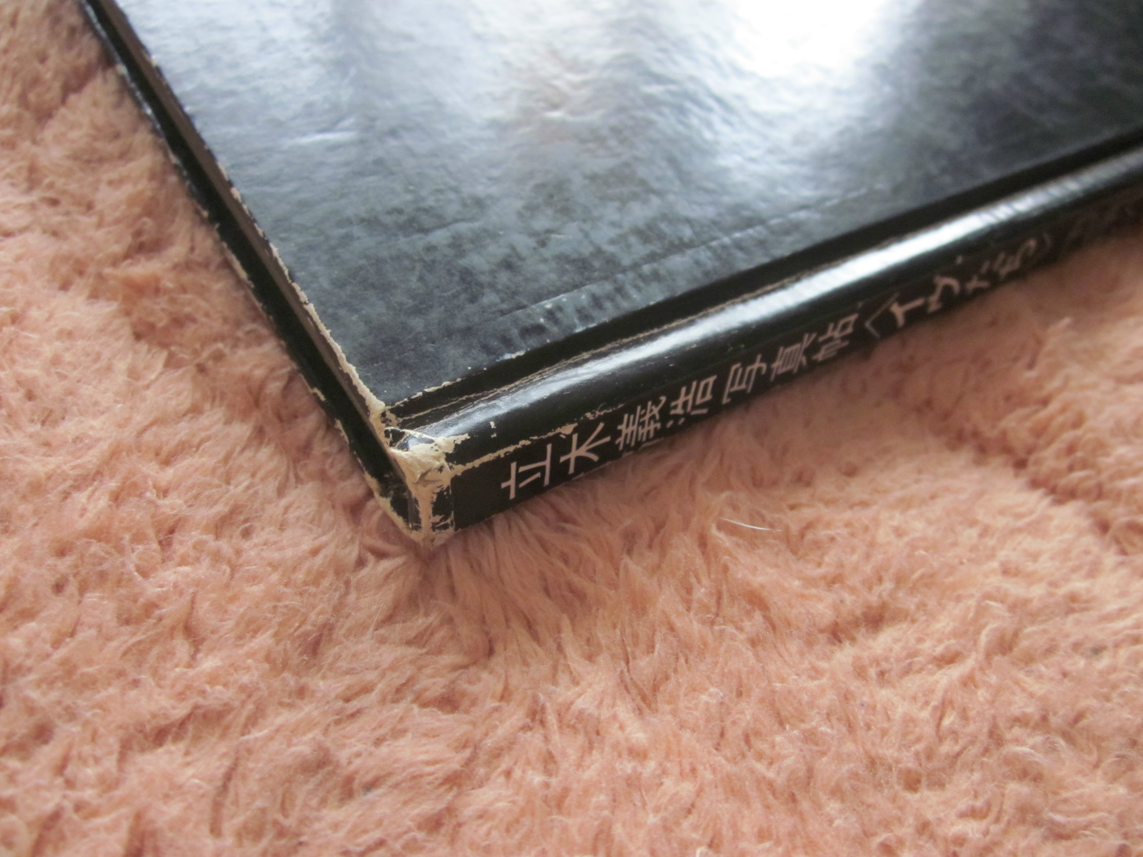 YOSHIHIRO TATSUKI Photo book EVE 1970 Japan 1st. edition 1st. print