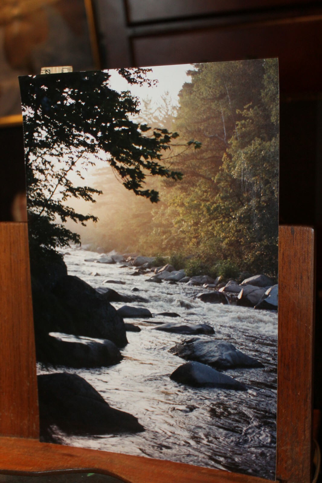 Vintage 8×12 Photo W. Beebe East Tennessee Mountain Stream