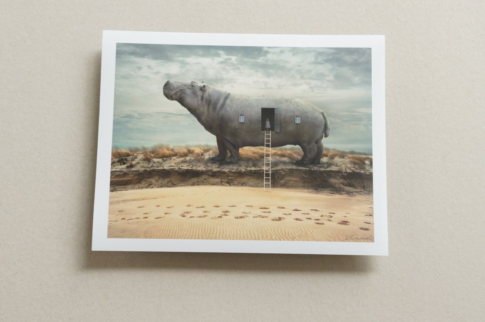 Signed ORIGINAL Animal Art Folio of Hippos Elephants Giraffe Camel & Fish Prints