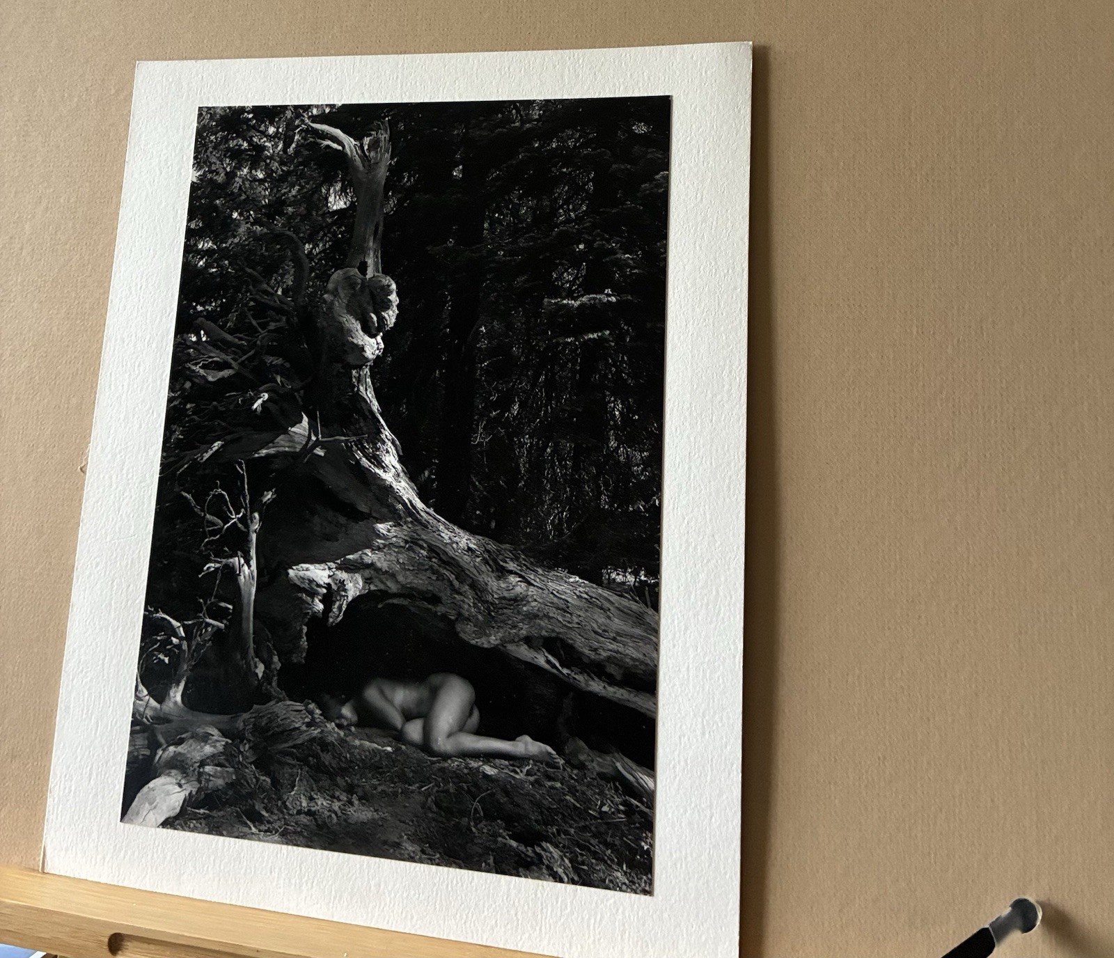 Cole Weston 1979 Gelatin Silver Photograph “Lake Almaden” Stamped Dated