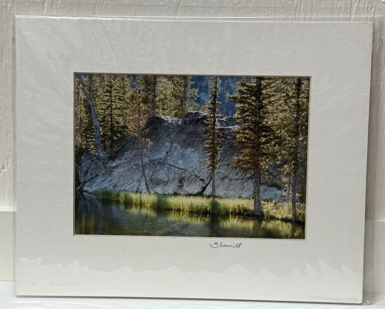 VTG Sherrill SIGNED Matted Photo 8×10 Hoffer Lakes Oregon Forest Landscape Art