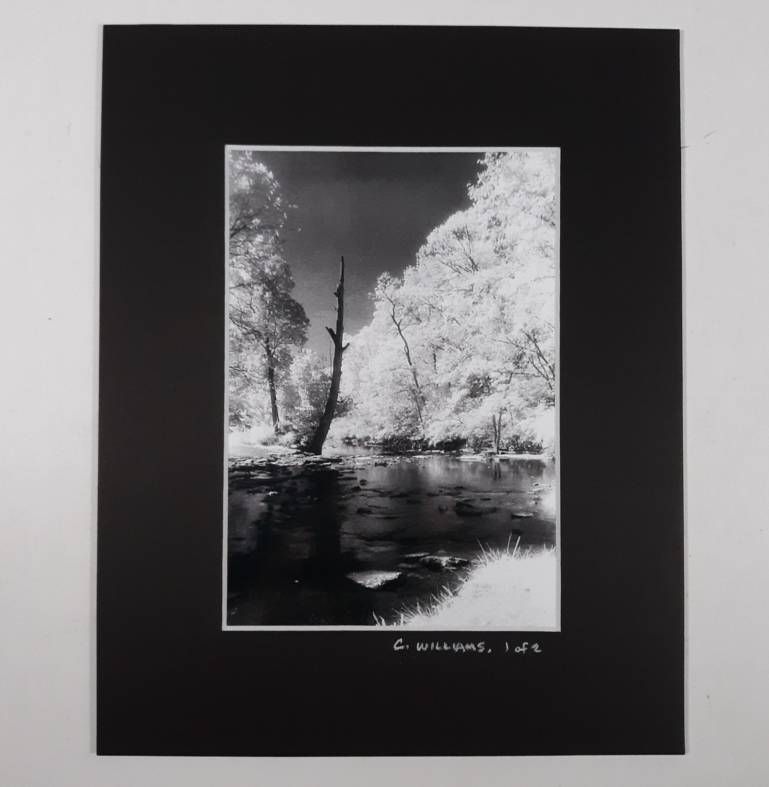 Black Mat Photo Landscape Park Infrared Photography Limited Ed 1/2 Signed Print