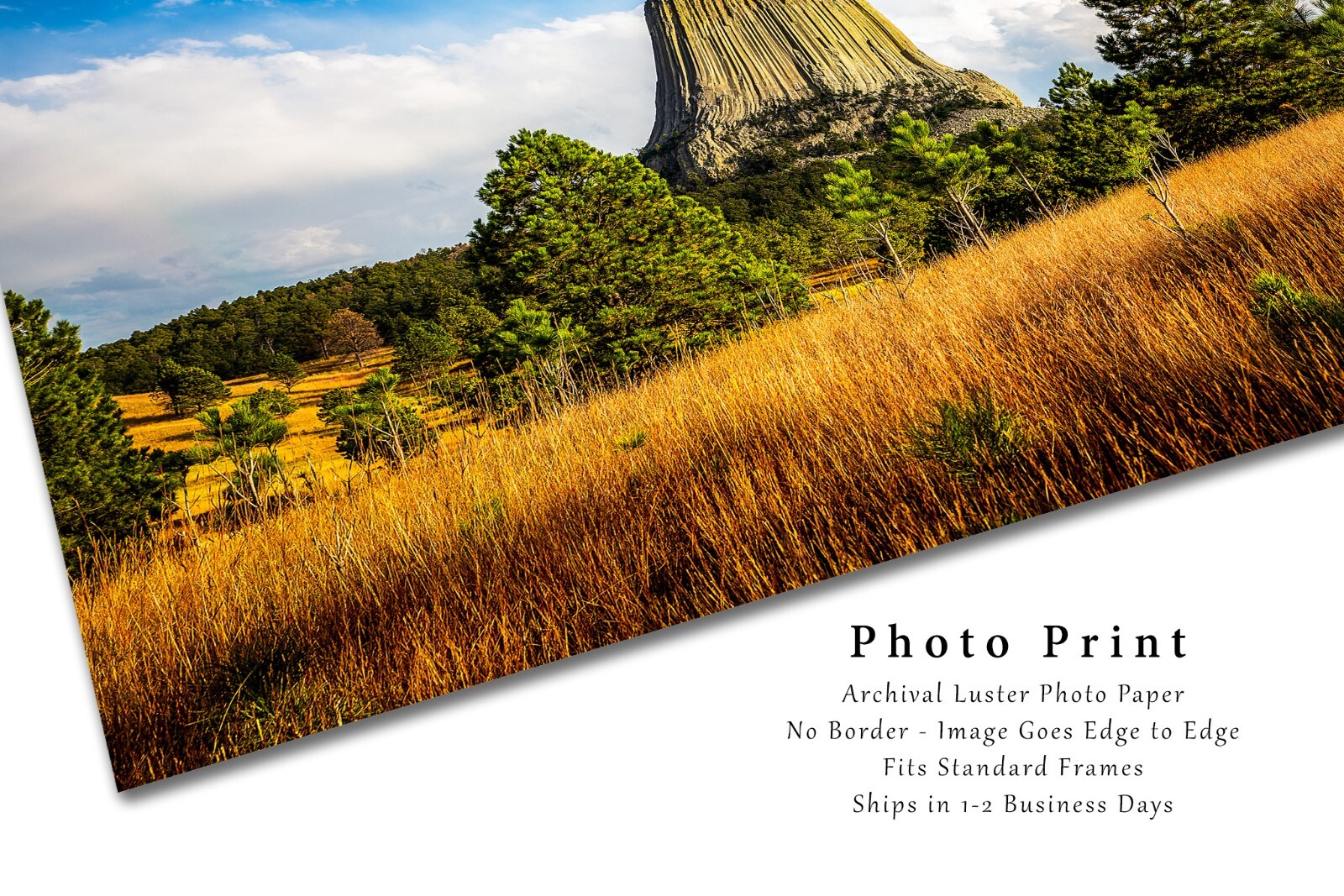 Western Photography Print – Picture of Devils Tower in Black Hills of Wyoming
