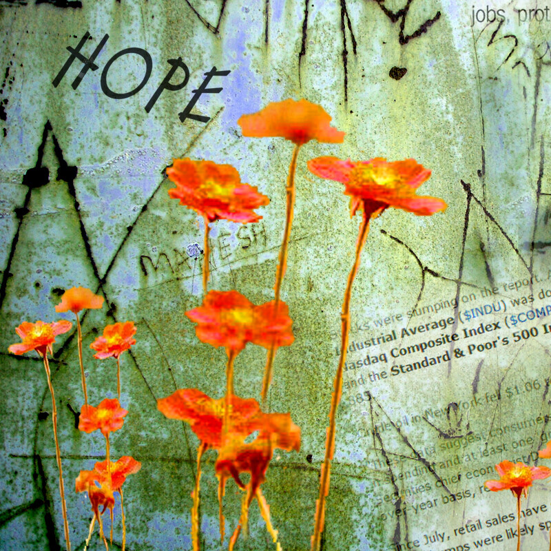 Graffiti Wall Digital Collage Photograph Newsprint Poppies Digital Enhancements