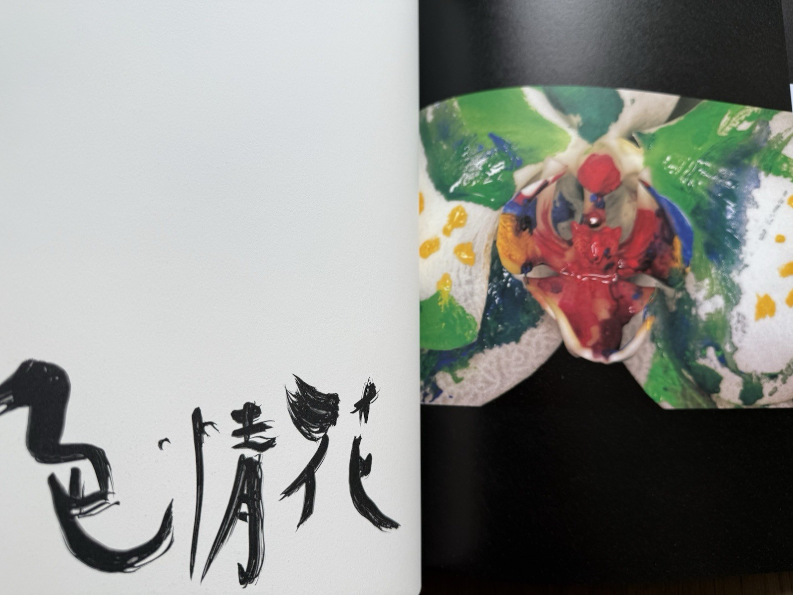 🎈SIGNED w Drawing! Nobuyoshi Araki – HANA-JINSEI, 2002 Japan Limited Ed, Unique