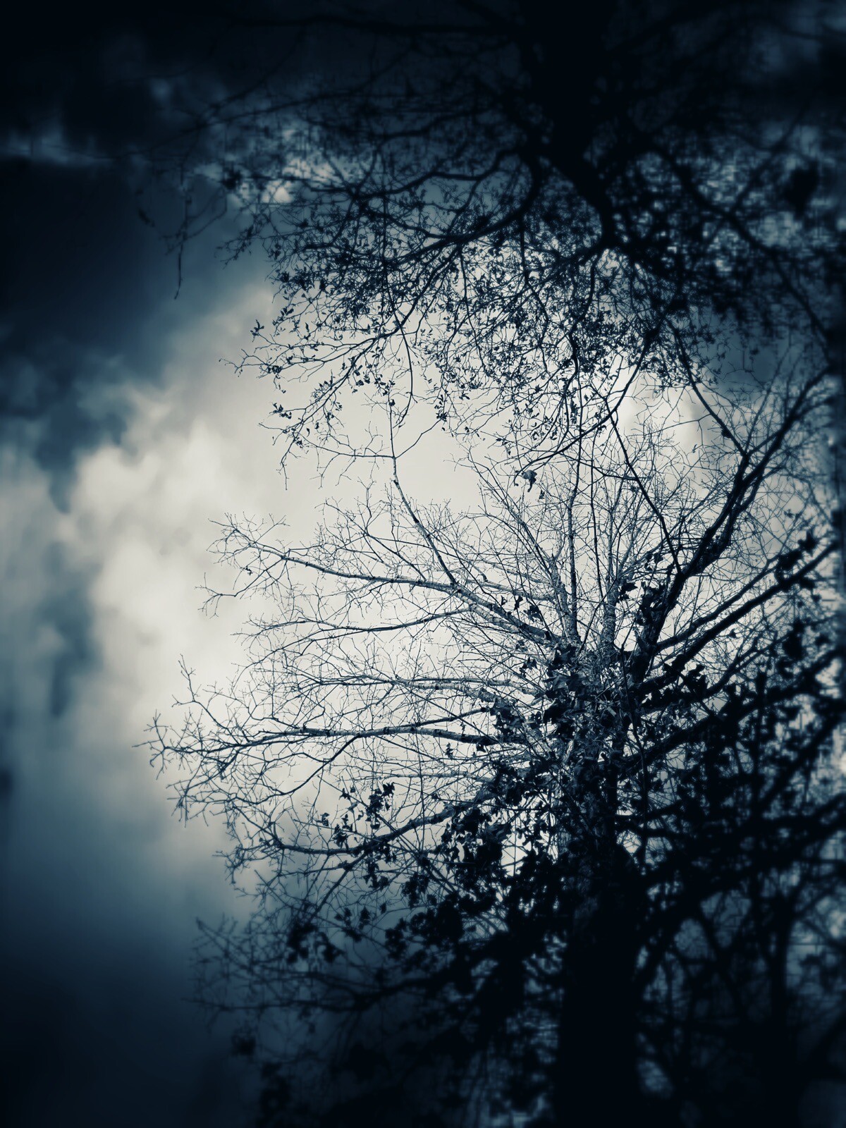 framed original artwork Photography